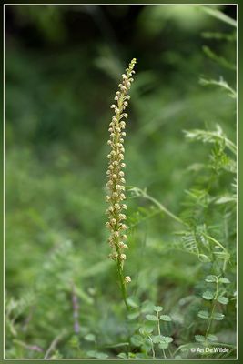 _MG_5129-5135.jpg