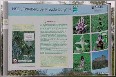 _MG_5396.jpg
