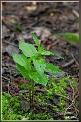 _MG_5511.jpg