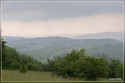 _MG_5612.jpg