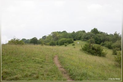 _MG_5730.jpg