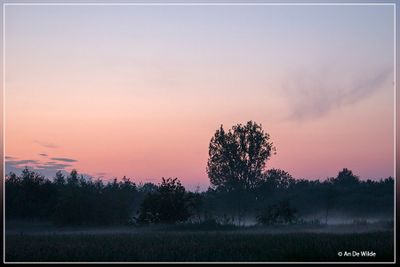 _MG_7375.jpg