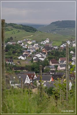_MG_6151.jpg