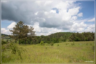 _MG_6368.jpg