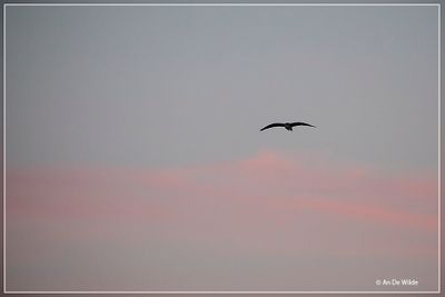 _MG_7363.jpg