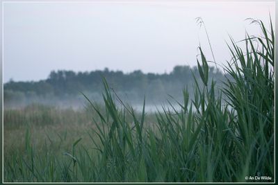 _MG_7373.jpg