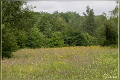 _MG_8983.jpg