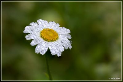 _MG_9042-9058kopie.jpg