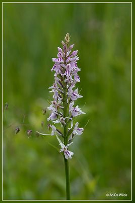 _MG_605-612.jpg