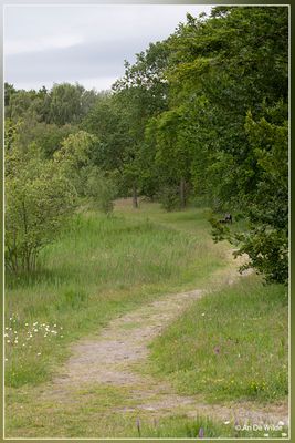_MG_0776.jpg