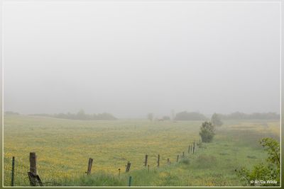 _MG_4312.jpg