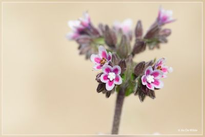 _MG_9025.jpg