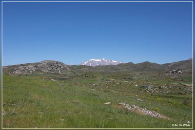_MG_4068.jpg
