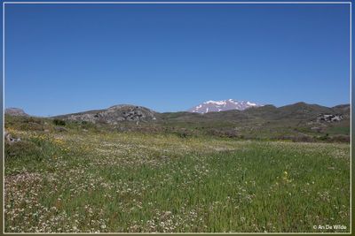 _MG_4172.jpg