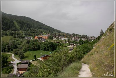 _MG_9530.jpg
