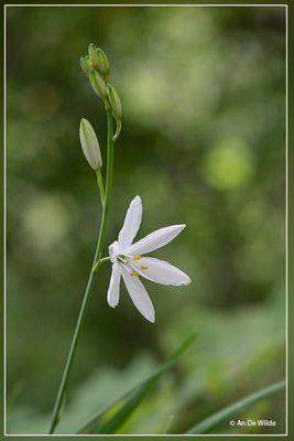 _MG_9537.jpg