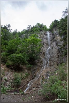 _MG_0111.jpg