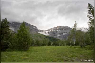 _MG_0143.jpg
