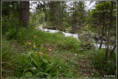 _MG_0835.jpg