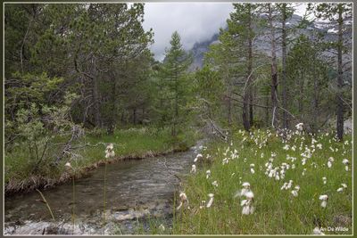 _MG_1130.jpg