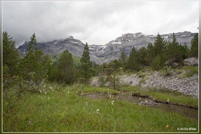 _MG_1134.jpg
