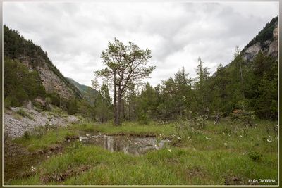 _MG_1136.jpg