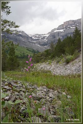 _MG_1144.jpg