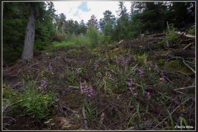 _MG_1389.jpg