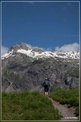 _MG_1826.jpg