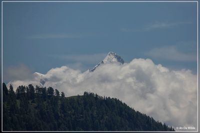 _MG_2028.jpg