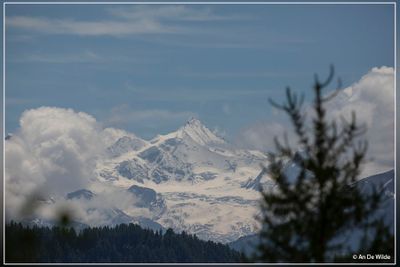_MG_2031.jpg