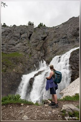 _MG_2078.jpg