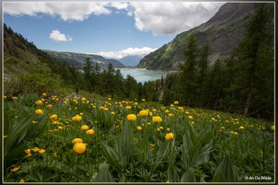 _MG_2080.jpg