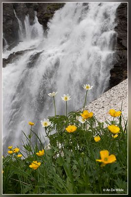 _MG_2090.jpg