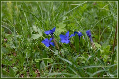 _MG_2200.jpg
