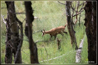 _MG_2517.jpg