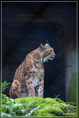 _MG_2848.jpg