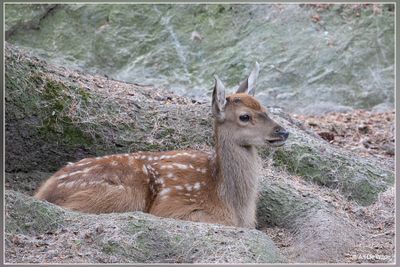_MG_3140.jpg