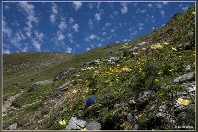 _MG_4092.jpg