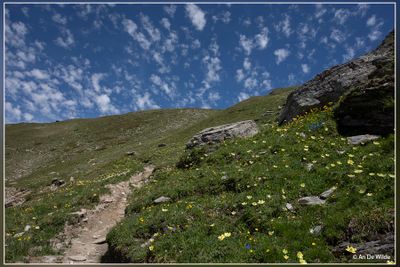 _MG_4095.jpg