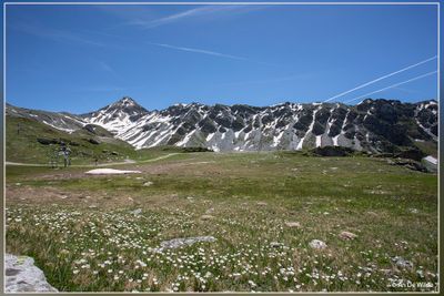 _MG_4110.jpg