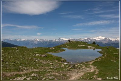 _MG_4161.jpg