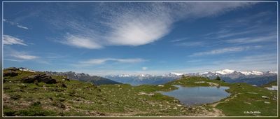 _MG_4163.jpg