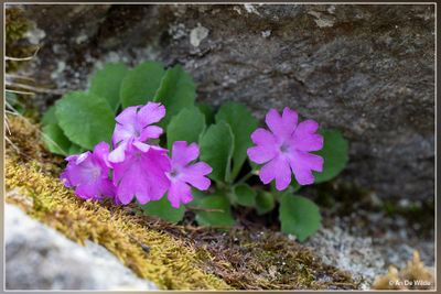_MG_4540.jpg