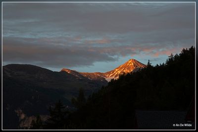 _MG_4853.jpg