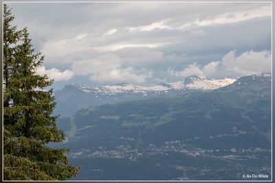 _MG_4976.jpg