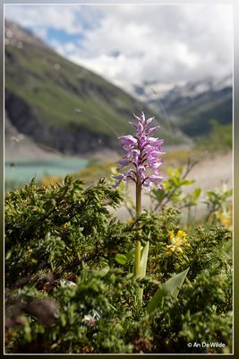 _MG_5435.jpg