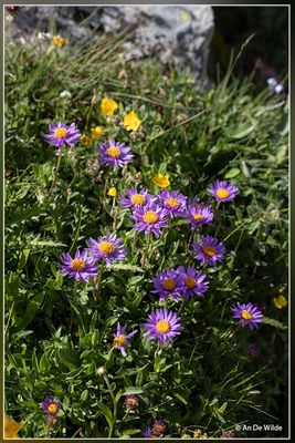 _MG_5510.jpg