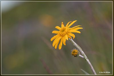 _MG_5670.jpg