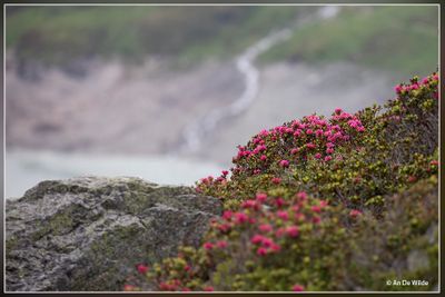 _MG_5742.jpg